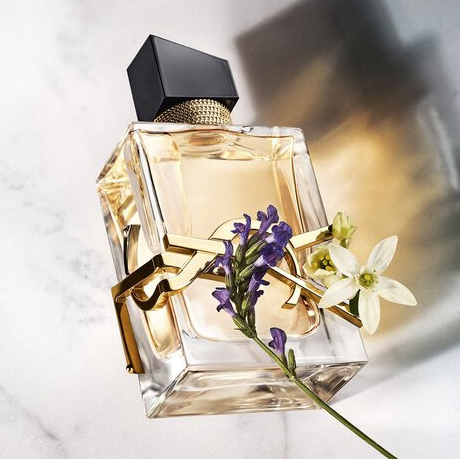 Yves Saint Laurent